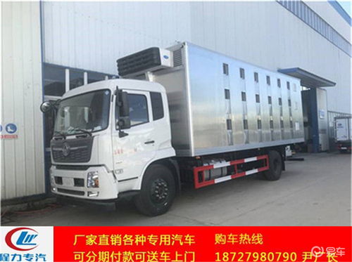 歐馬可4.18米廂長(zhǎng)仔豬運(yùn)輸車價(jià)格解析與選購(gòu)指南